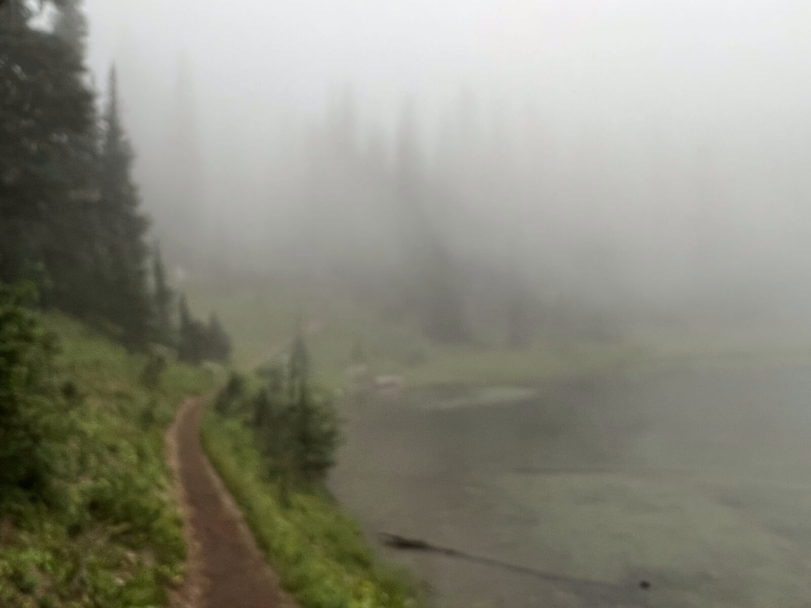 Fog on the trail