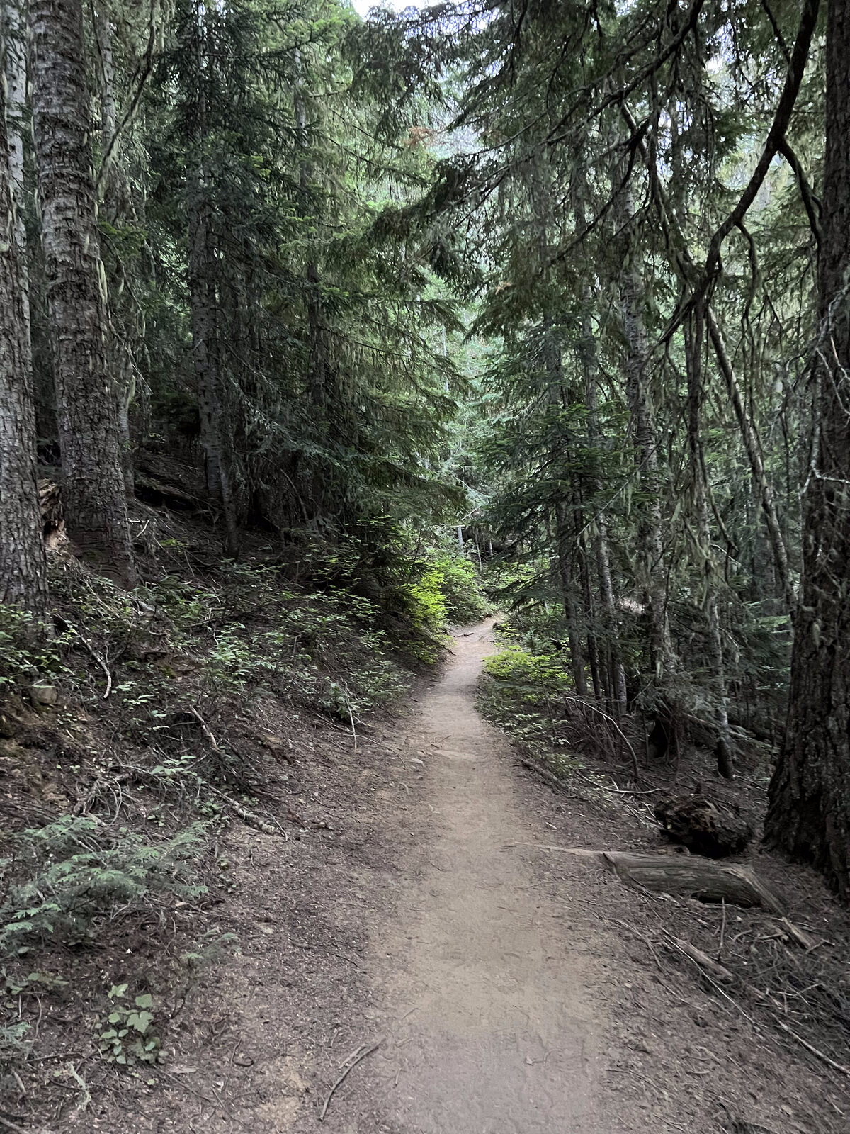 Green trail
