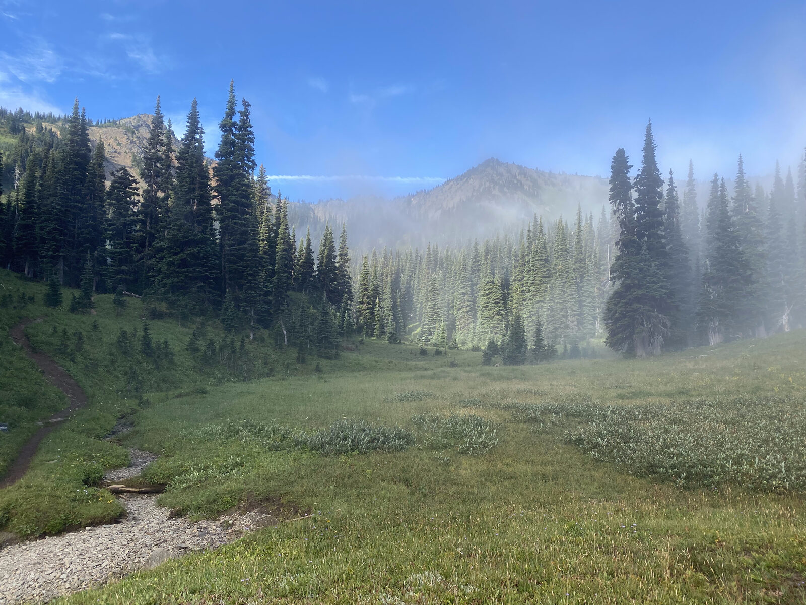 Green trail