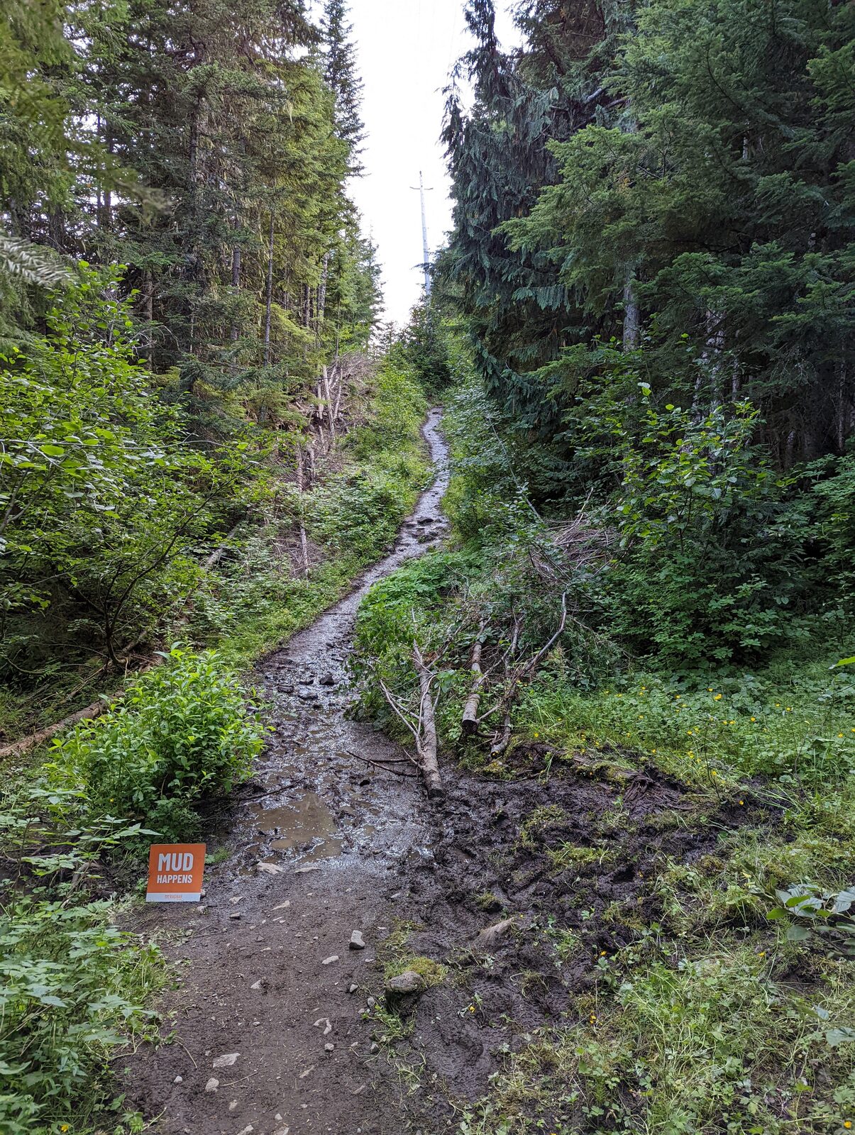 Muddy section of the red trail