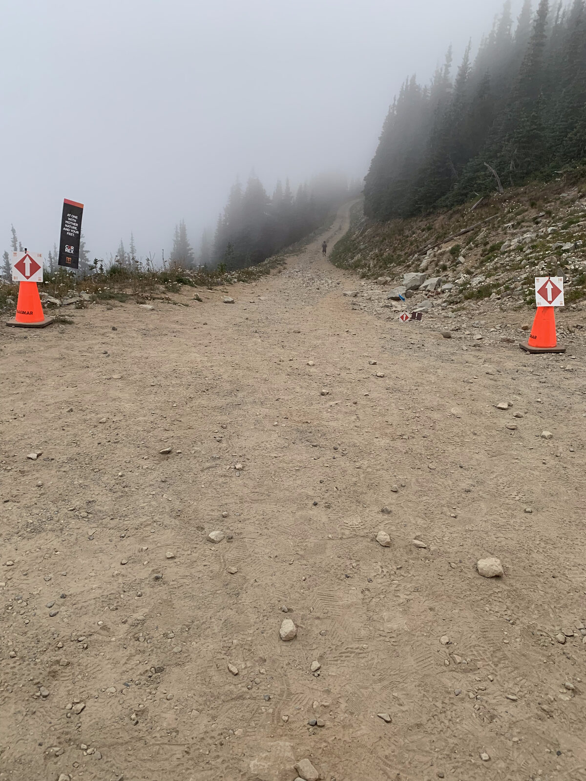 Start of the red trail