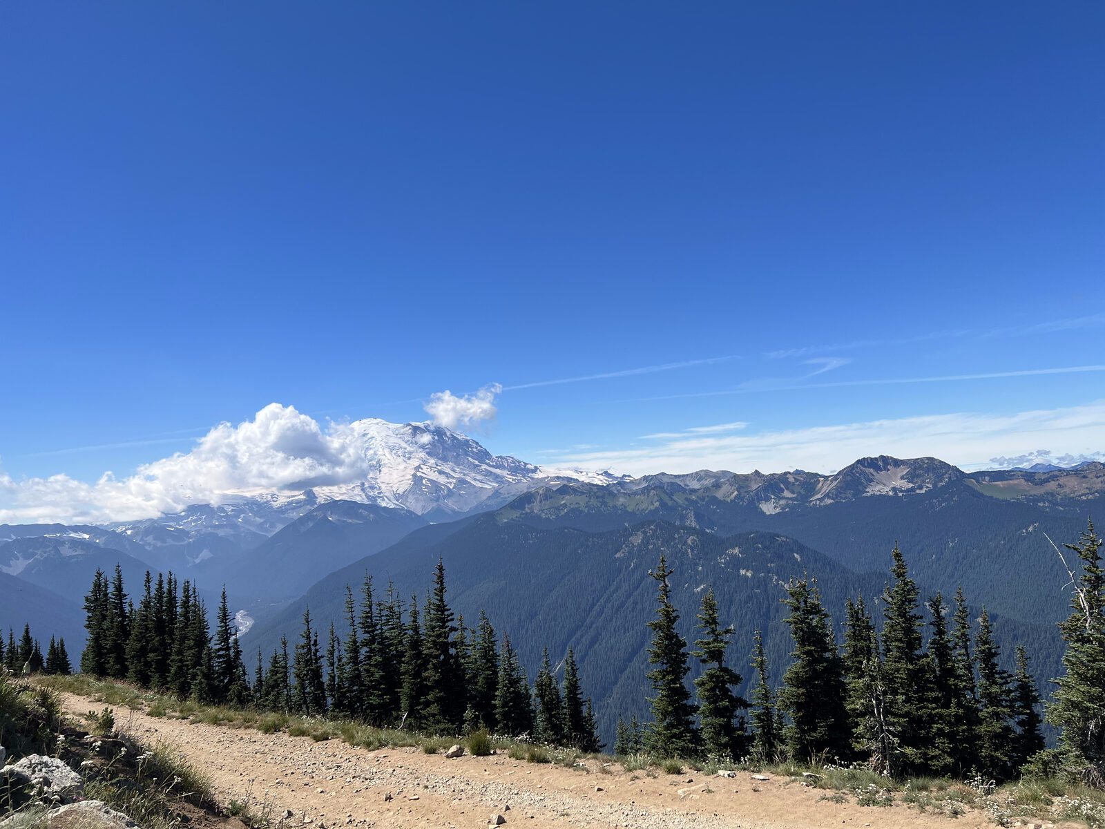 Reaching the summit at the end of the yellow trail