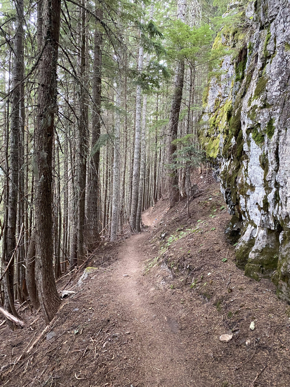 Climbing the yellow trail