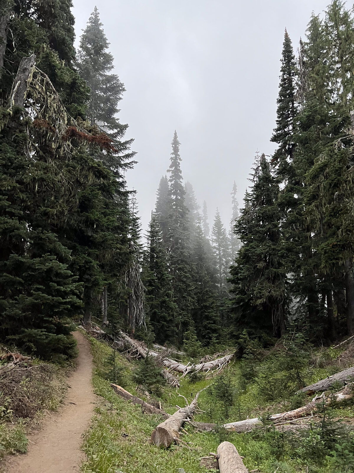 Yellow trail views